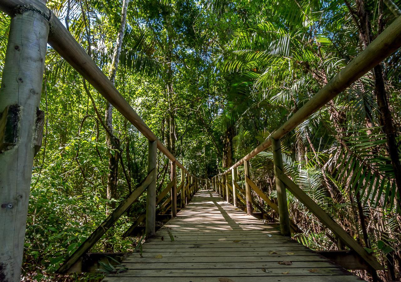 Hotel Manuel Antonio Eksteriør bilde